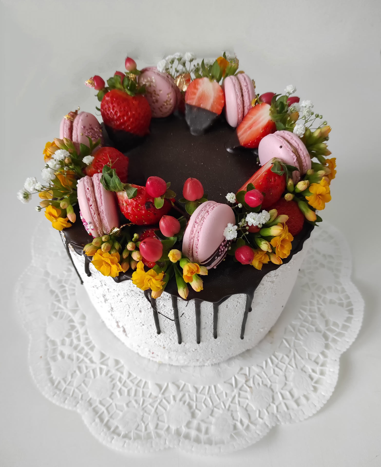 dorty_039