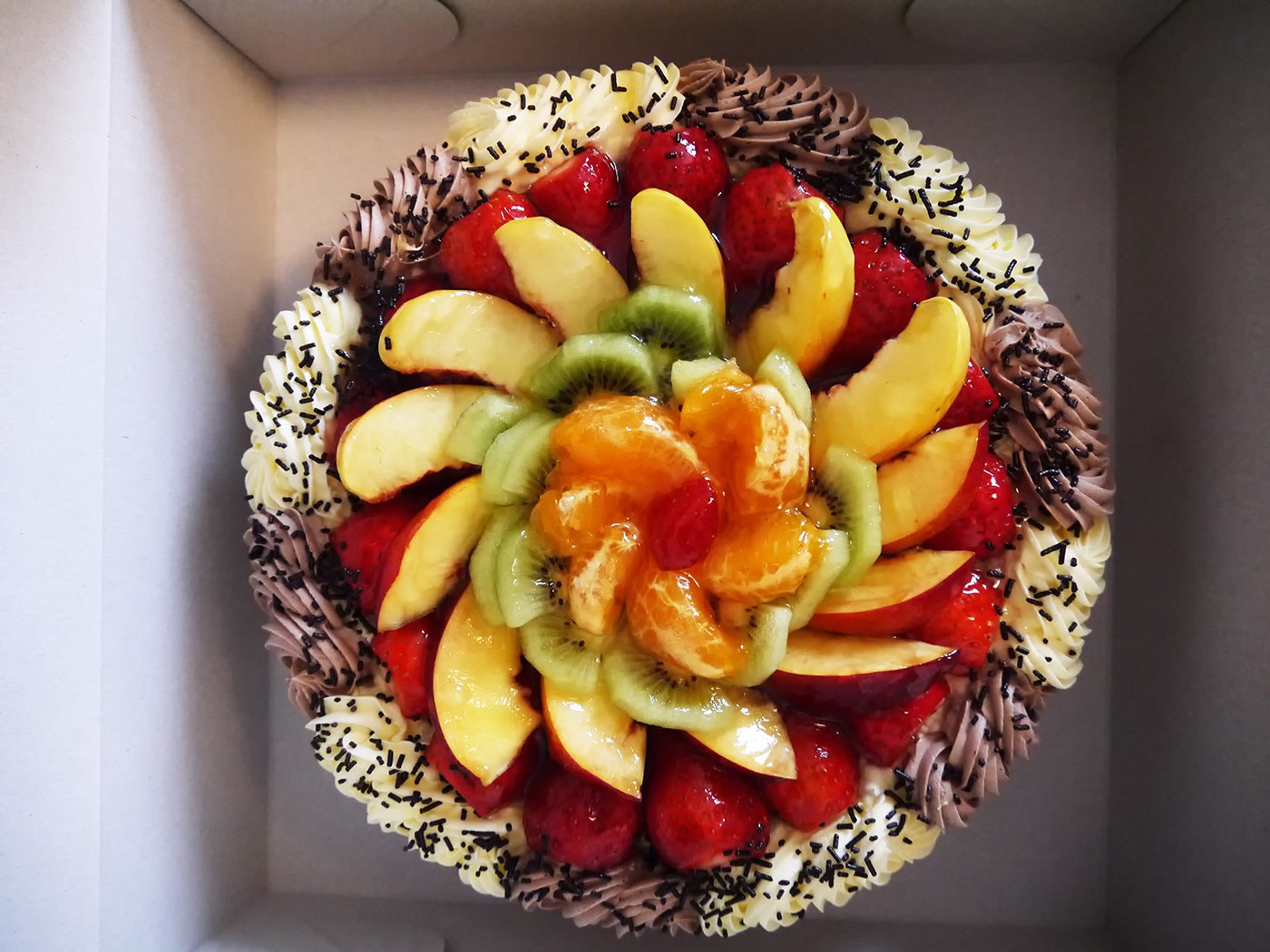 dorty_074
